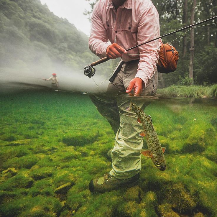 Lagos de la Patagonia
