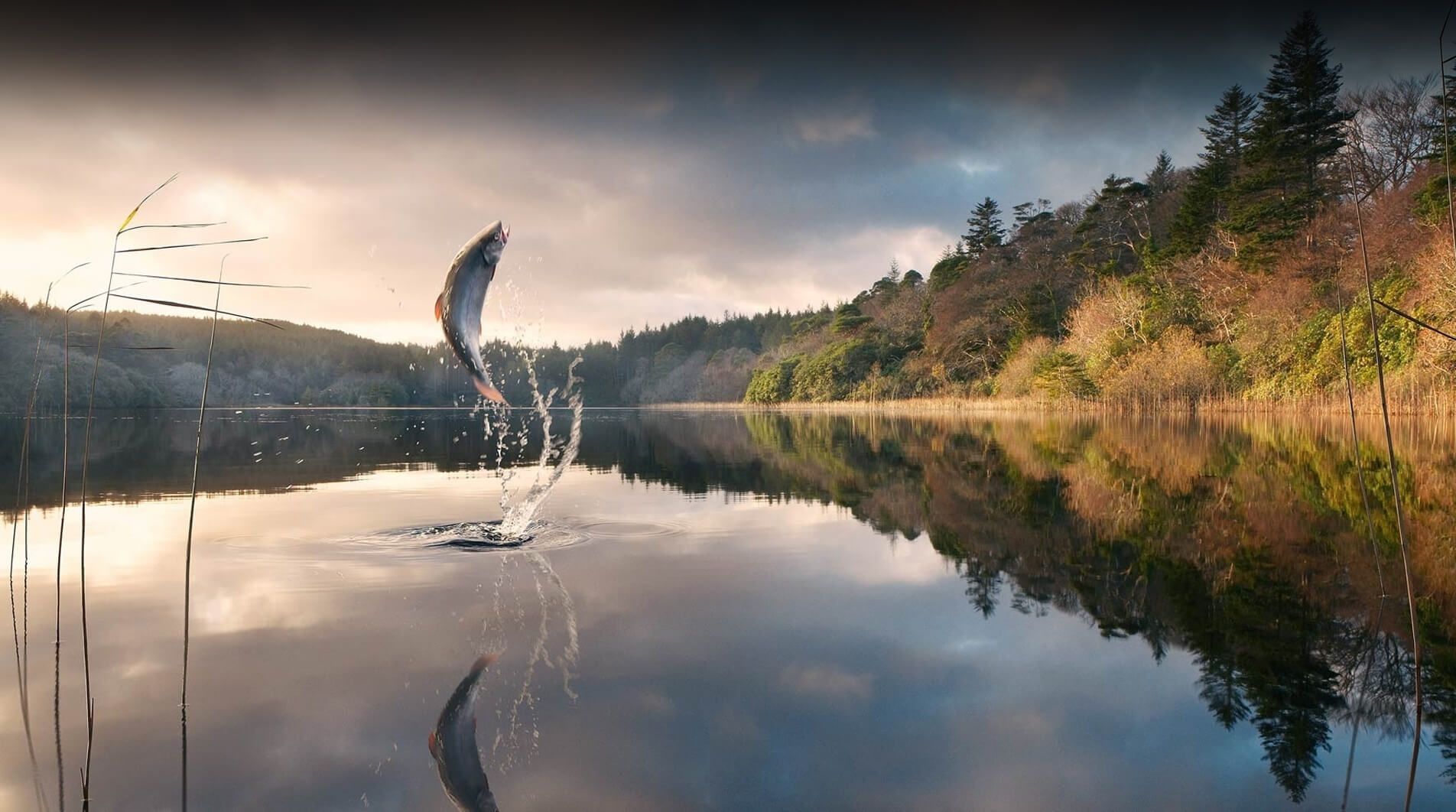Ríos de la Patagonia